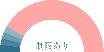 制限あり